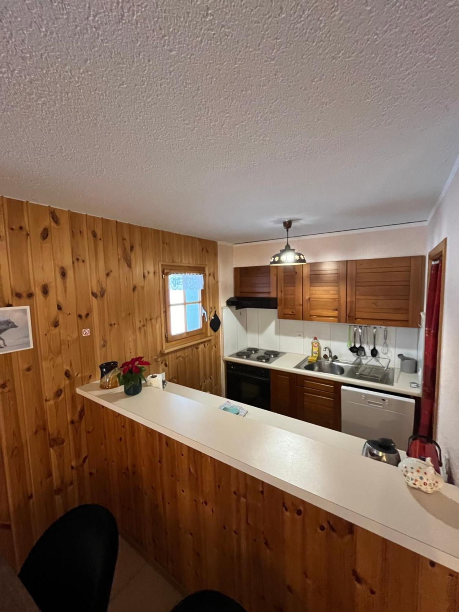 L'Herensarde, Bel Appartement Avec Jardin-Terrasse Et Garage Evolène Exterior foto